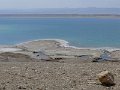 Dead Sea (2)